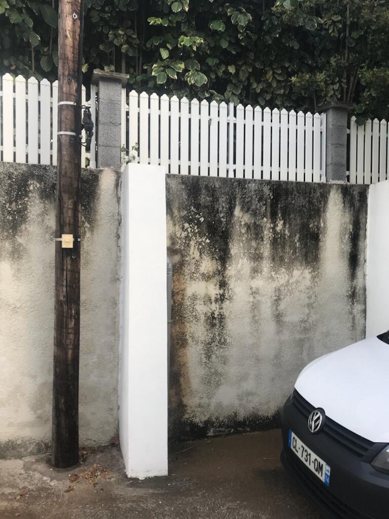 avant traitement Best habitat